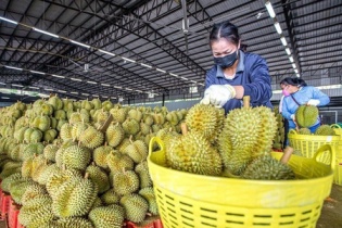 Điểm danh 4 nhóm nông sản xuất khẩu đóng góp 13 tỷ USD
