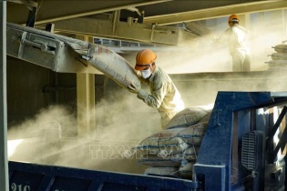 Tham gia thị trường carbon: "Cuộc chơi không thể từ chối"
