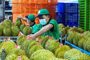 Biến động xuất khẩu nửa đầu tháng 9/2024