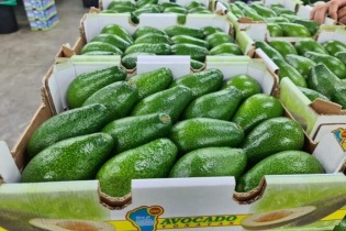 Đề xuất Trung Quốc mở cửa thị trường cho trái bơ, na, roi, thảo quả của Việt Nam