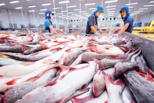 Thúc đẩy khởi động đàm phán FTA Việt Nam - Khối thị trường chung Nam Mỹ