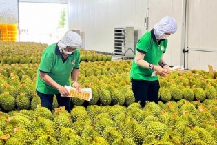 Thương mại Việt Nam - Trung Quốc 11 tháng vượt 185 tỷ USD