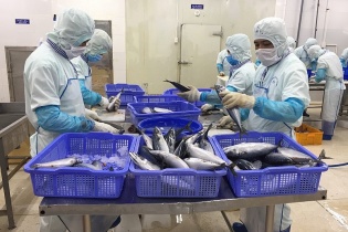 Hiệp định VIFTA, thúc đẩy hợp tác kinh tế, thương mại Việt Nam - Israel
