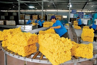 Xuất khẩu cao su lập kỷ lục thu 3,4 tỷ USD, triển vọng năm 2025 vẫn tích cực