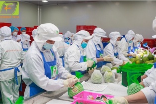 Việt Nam nằm trong top 15 quốc gia cung cấp rau quả lớn vào Mỹ