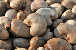 Việt Nam tăng nhập khẩu điều từ Campuchia