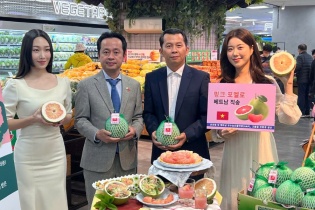 Bưởi Việt chính thức lên kệ Lotte Mart Hàn Quốc: Bước ngoặt mới cho nông sản Việt