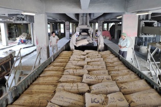 Giá xi măng tăng thêm 50.000 đồng/tấn từ hôm nay