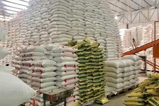 Biến động giá gạo xuất khẩu nửa đầu năm 2025