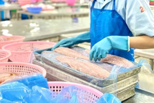 Thúc đẩy sớm hoàn tất đàm phán FTA Việt Nam - Khối thị trường chung Nam Mỹ