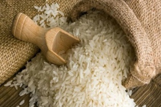 Cần bình tĩnh trước thông tin Philippines tạm ngừng nhập khẩu gạo 