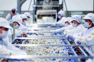 Thủ tướng chỉ đạo nhiệm vụ về xuất khẩu nông, lâm, thủy sản uy tín, chất lượng Thủ tướng chỉ đạo nhiệm vụ về xuất khẩu nông, lâm, thủy sản uy tín, chất lượng