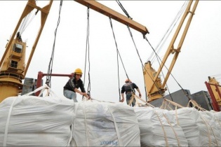 Thu hồi 13 Giấy phép xuất khẩu gạo của thương nhân