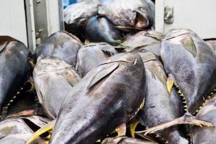 Bộ trưởng Công thương: Đề nghị Mỹ xem xét khách quan về thương mại thủy sản