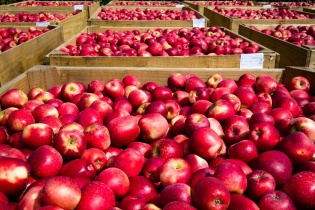 Nhập khẩu hàng hóa từ Mỹ tăng mạnh