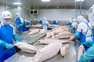 Thương mại Việt Nam - Israel tăng 19% sau 1 năm thực thi VIFTA