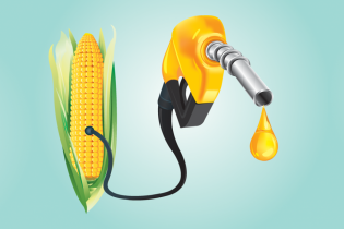 Việt Nam sẽ tăng nhập khẩu ethanol từ Mỹ