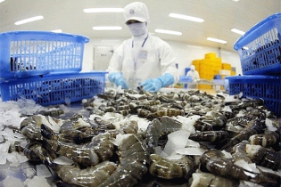 Mỹ tăng kiểm soát thủy sản nhập khẩu, doanh nghiệp Việt thận trọng với rủi ro kháng sinh