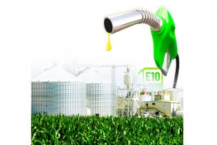 Gỡ điểm nghẽn về quy chuẩn kỹ thuật và định mức cho xăng E10