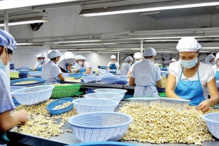 Xuất nhập khẩu điều vượt 5,6 tỷ USD nhưng nhập siêu 400 triệu USD