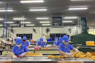 TP.HCM chuẩn bị nguồn cung cho mùa mua sắm cuối năm