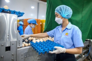 Cần có quy định cụ thể để thúc đẩy việc thực hành ESG tại Việt Nam