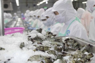 Thủy sản tươi sống còn nhiều dư địa xuất sang thị trường Trung Quốc