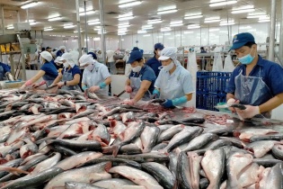 Xuất khẩu thủy sản khởi sắc, tăng gần 14% trong tháng 7/2024