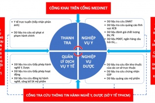 TP.HCM thử nghiệm thành công “Cổng tra cứu thông tin hành nghề” y, dược