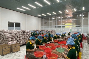 Đơn hàng xuất khẩu tăng, nhiều ngành hàng sớm cán mốc mục tiêu