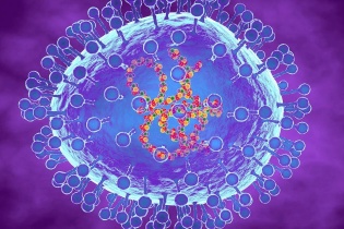Sở Y tế TP.HCM: HMPV không phải là virus mới, từng được phát hiện năm 2023-2024