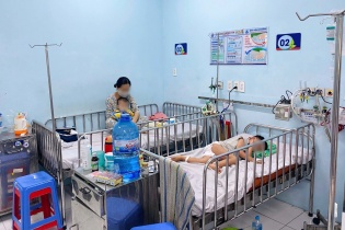 TP.HCM: Dự báo dịch sốt xuất huyết có thể đến sớm so với mọi năm