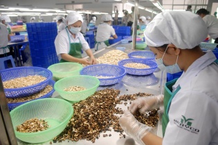 Xuất khẩu nông sản vào EU: Tăng chất lượng để giảm cảnh báo