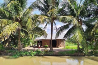 Doanh nghiệp cần trợ lực để bảo vệ chuỗi giá trị ngành dừa