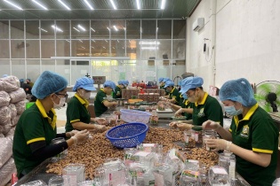 Xuất khẩu nông lâm thủy sản tăng tốc, doanh nghiệp mở rộng thị trường mới