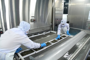 Xuất khẩu tăng tốc, thủy sản dự báo đạt 10 tỷ USD trong năm 2025 Xuất khẩu tăng tốc, thủy sản dự báo đạt 10 tỷ USD trong năm 2025