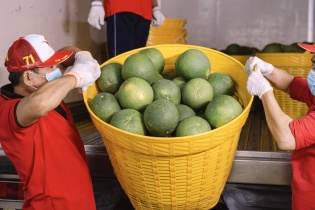 Trung Quốc ban hành Lệnh 280, doanh nghiệp xuất khẩu cần chủ động thích ứng quy định mới