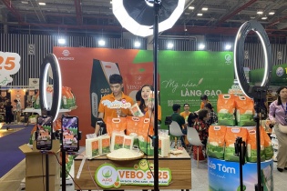 Thương mại điện tử xuyên biên giới: Động lực mới cho doanh nghiệp Việt