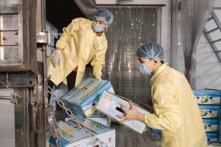 Chi phí logistics “ăn mòn” lợi nhuận xuất khẩu Việt Nam