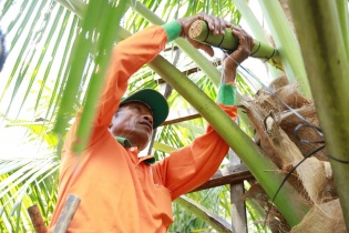 Doanh nghiệp thực phẩm “gồng mình” giữ giá, tăng tốc đầu tư vùng nguyên liệu