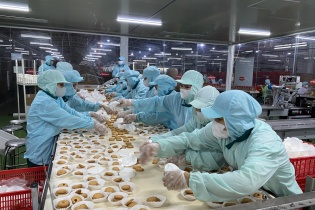 Nông sản Việt trước “luật chơi carbon”: Không chuyển đổi sẽ mất thị trường