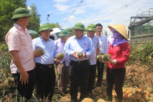 Bộ trưởng Nguyễn Chí Dũng: Cần xây dựng thương hiệu dứa Quảng Trị