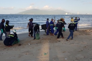 Đà Nẵng tìm nguyên nhân cá chết dạt vào bãi biển