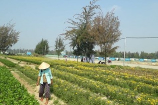 “Cò đất” lại dựng chuyện sáp nhập thị xã Điện Bàn (Quảng Nam) vào Đà Nẵng