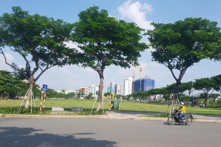 Đà Nẵng thành lập tổ hỗ trợ doanh nghiệp trong lĩnh vực đất đai