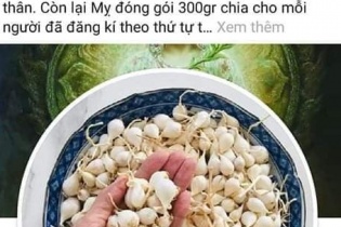 Quảng Ngãi đề nghị Bộ Công an xác minh chủ tài khoản facebook thông tin tỏi Lý Sơn nhiễm thuốc trừ sâu 