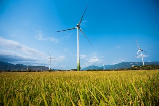 Ninh Thuận có 4.383 ha đất được quy hoạch là đất năng lượng