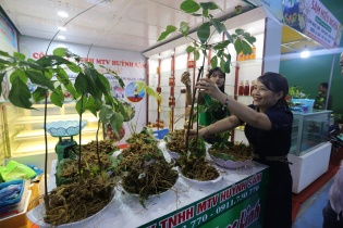Quảng Nam phê duyệt chủ trương 7 dự án đầu tư vào nông nghiệp