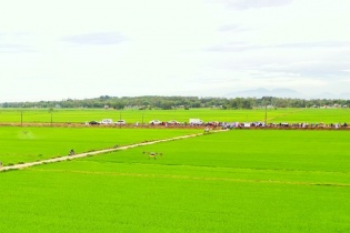 Lộc Trời triển khai drone chăm sóc nông sản ở miền Trung