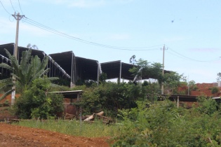 Quảng Nam yêu cầu kiểm tra dự án điện mặt trời núp bóng trang trại 